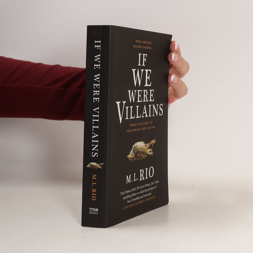 M. L. Rio If We Were Villains