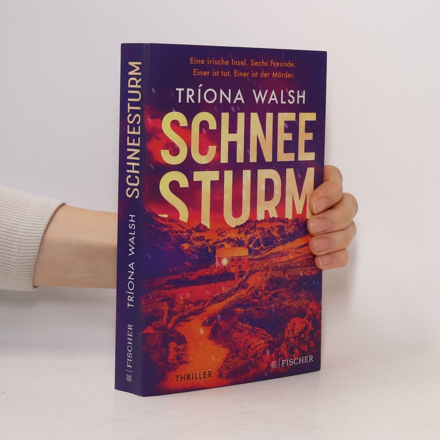 Tríona Walsh Schneesturm