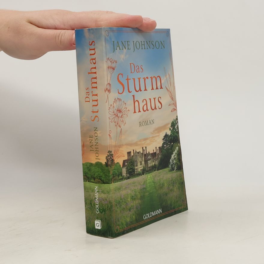 Jude Fisher Das Sturmhaus: Roman