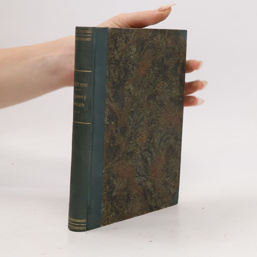 Sherwood Anderson Temný smích