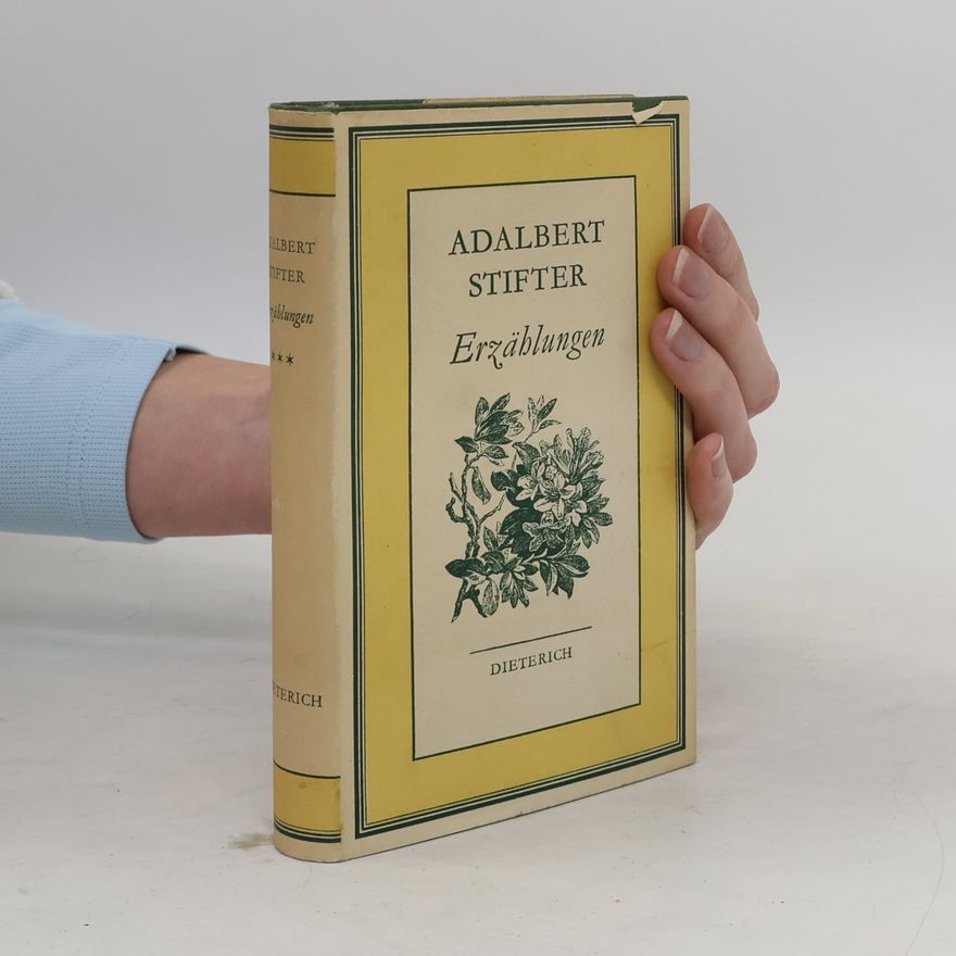 Adalbert Stifter Erzählungen III.