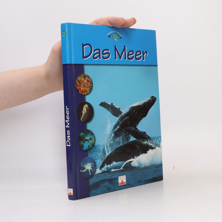 Christiane Schoelzel Das Meer