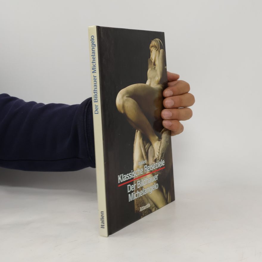 Michelangelo Der Bildhauer Michelangelo