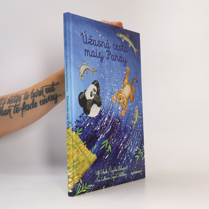 Autorenkollektiv Úžasná cesta malej Pandy