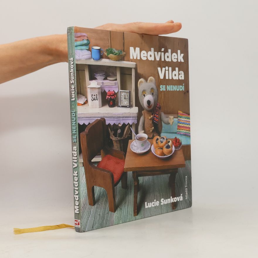 Lucie Sunková Medvídek Vilda se nenudí