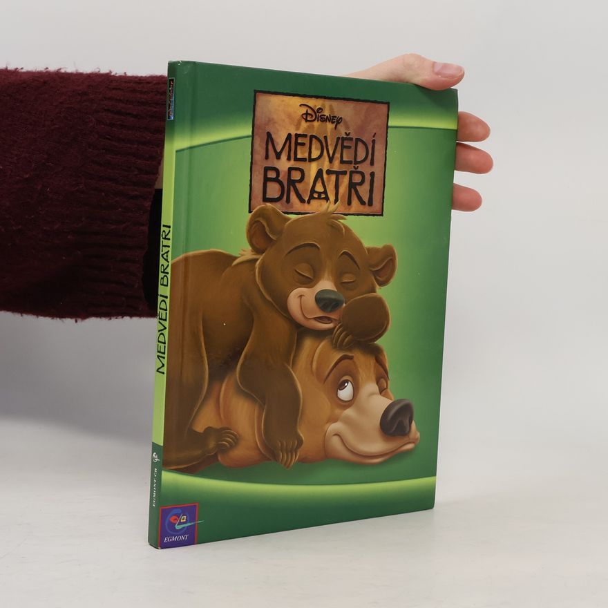 Walt Disney Medvědí bratři