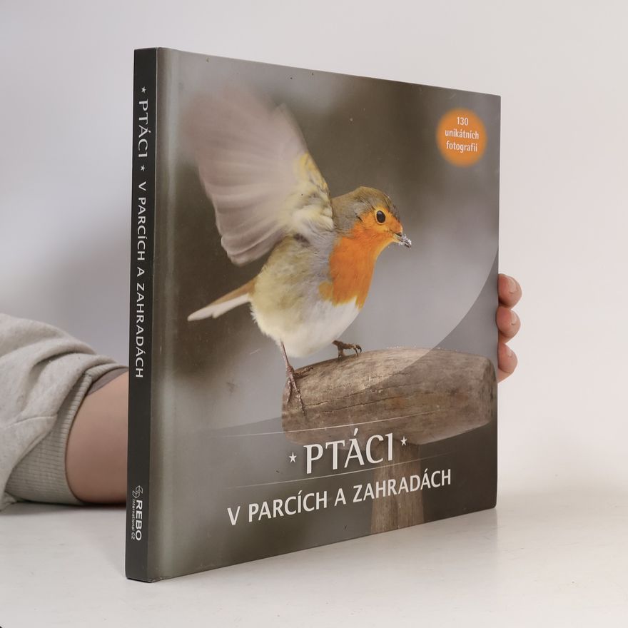 Arno Ten Hoeve Ptáci v parcích a zahradách
