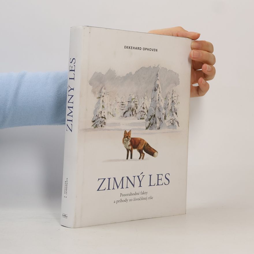Ekkehard Ophoven Zimný les