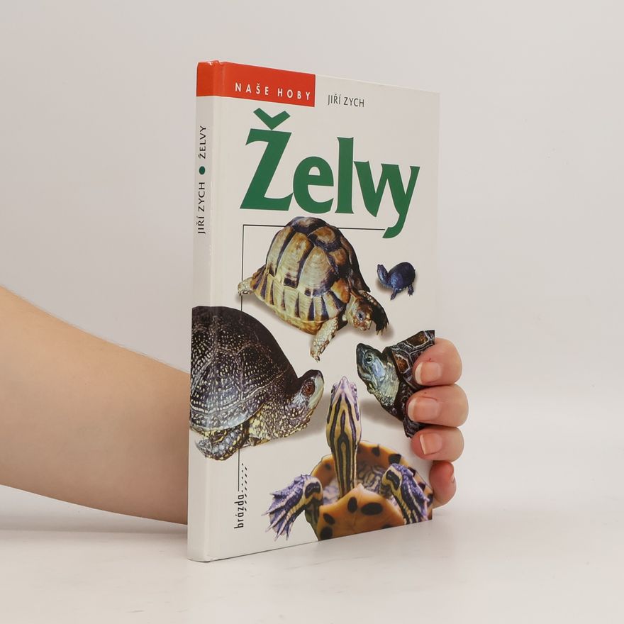 Jiri Zych Želvy