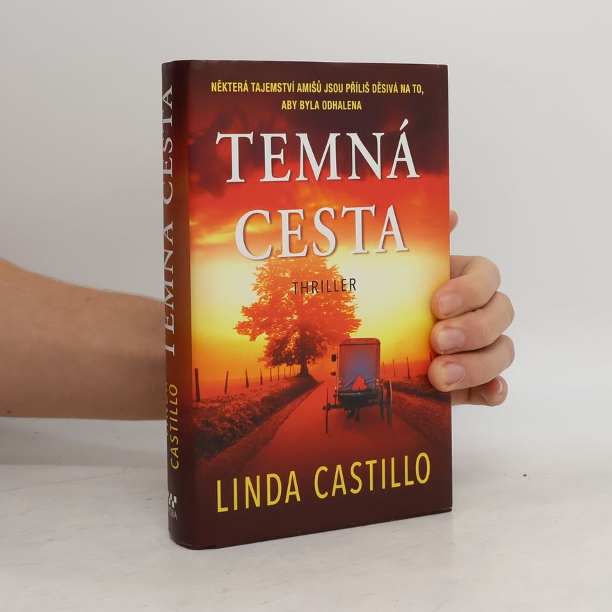 Linda Castillo Temná cesta
