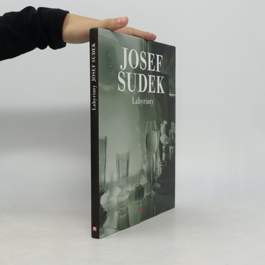 Josef Sudek Labyrinty