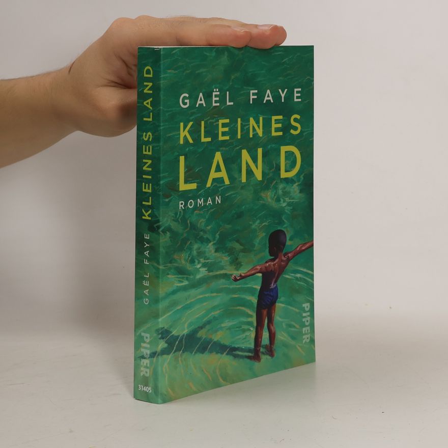 Gaël Faye Kleines Land