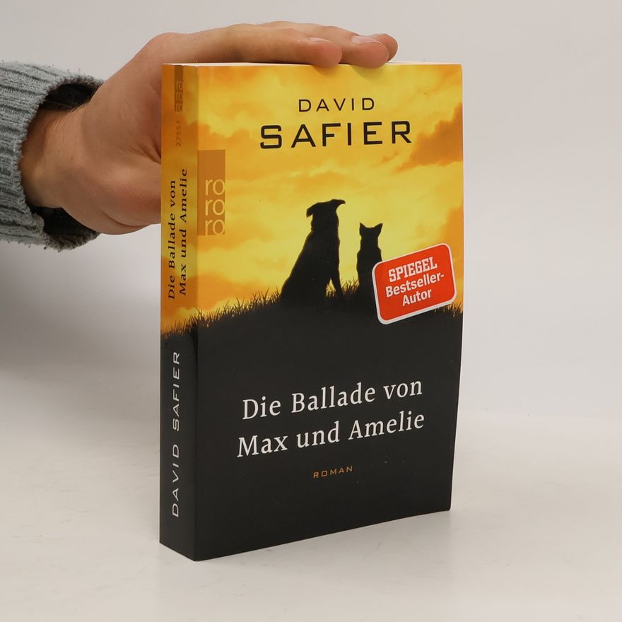 David Safier Die Ballade von Max und Amelie