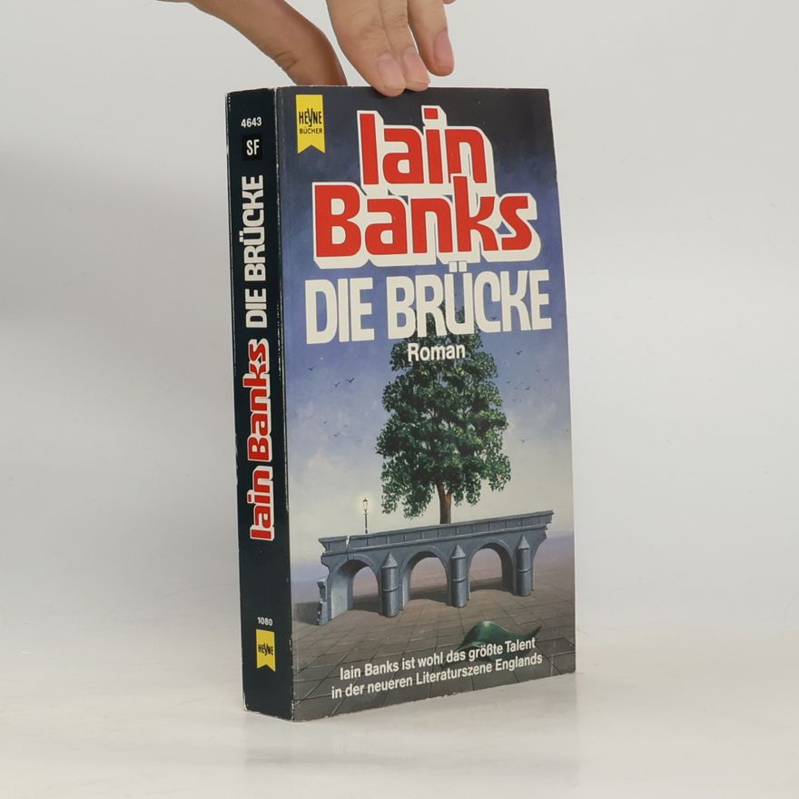 Iain Banks Die Brücke
