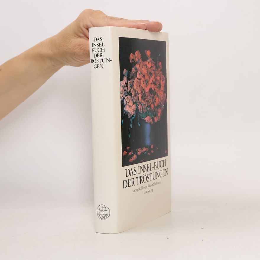 Rainer Malkowski Das Insel-Buch der Tröstungen