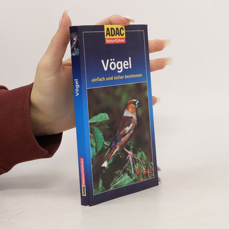 Autorenkollektiv Vögel einfach und sicher bestimmen