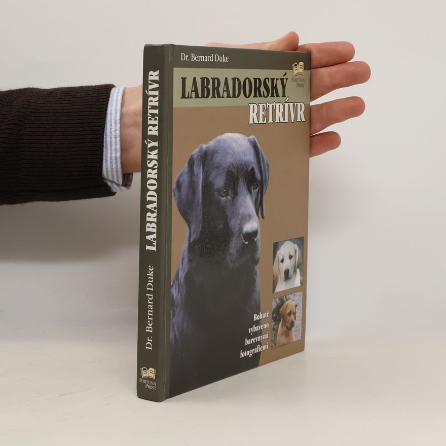 Bernard Duke Labradorský retrívr