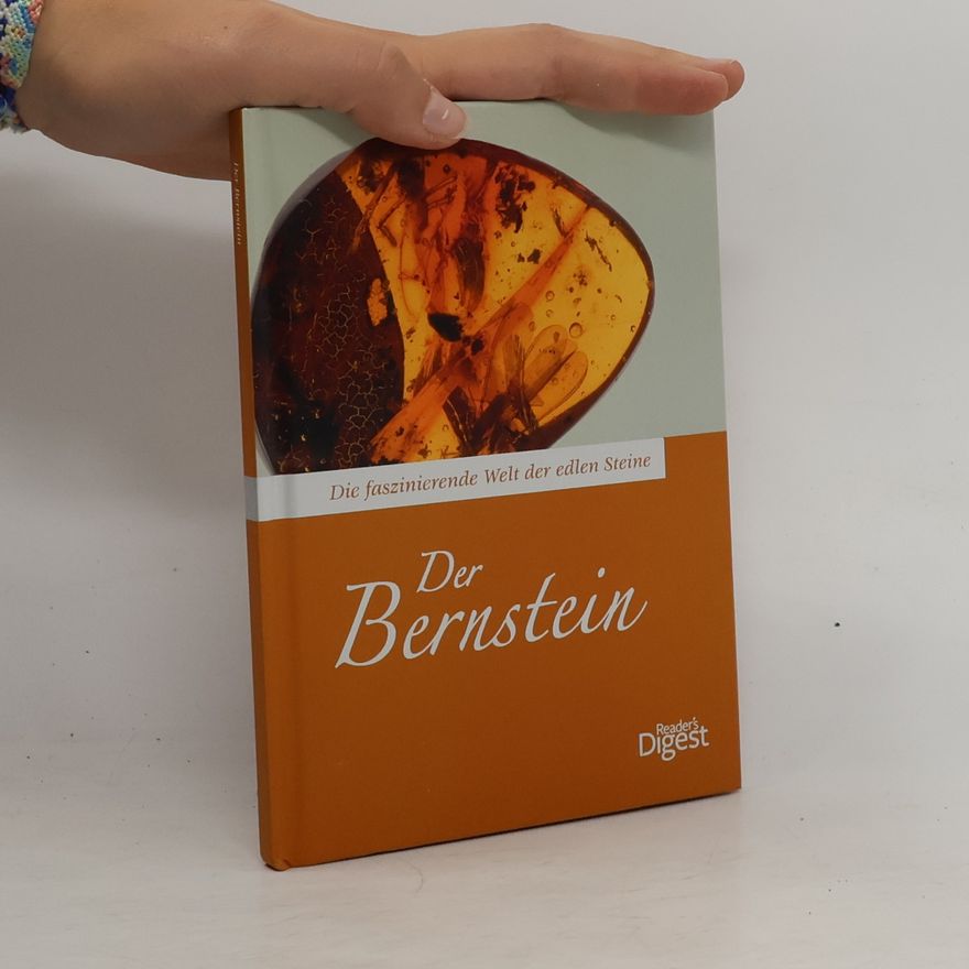 Dr. Rainer Köthe Der Bernstein