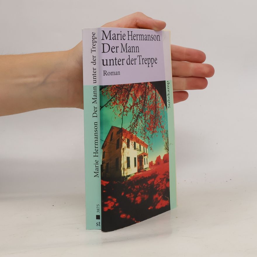 Marie Hermanson Der Mann unter der Treppe