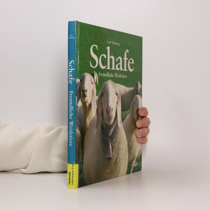 Lutz Schiering Schafe