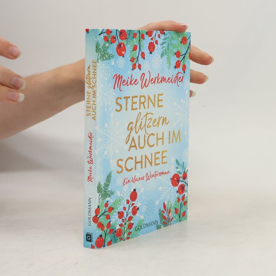 Meike Werkmeister Sterne glitzern auch im Schnee