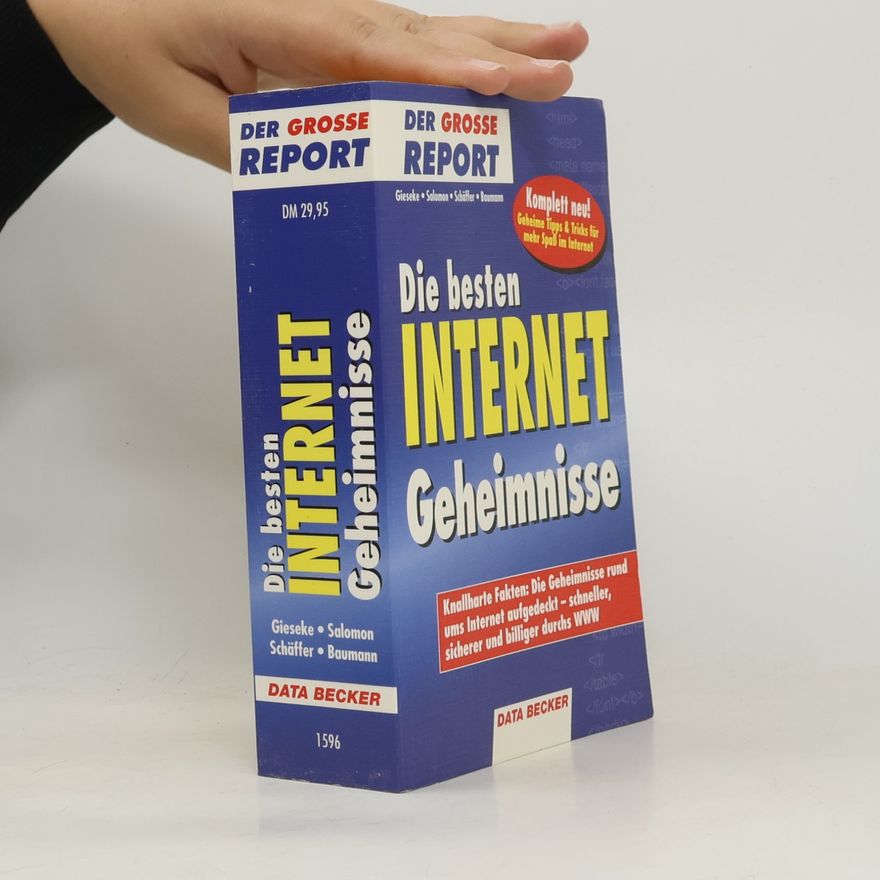 Schäffer Der Große Report: Die besten Internet-Geheimnisse