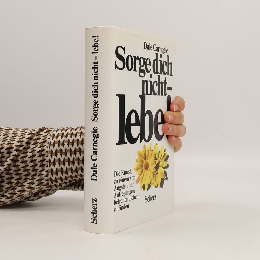 Dale Carnegie Sorge dich nicht - lebe!