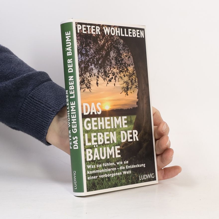 Peter Wohlleben Das geheime Leben der Bäume