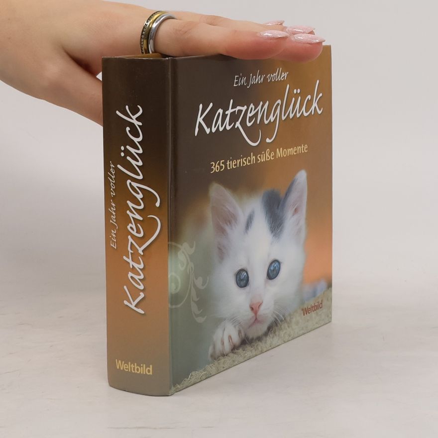 Autorenkollektiv Ein Jahr voller Katzenglück