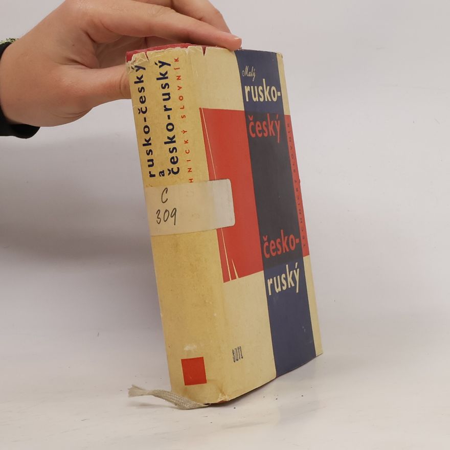 Autorenkollektiv Malý rusko-český, česko-ruský technický slovník