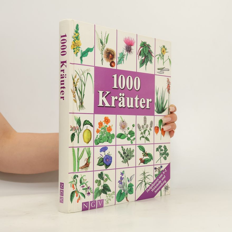 Hans W. Kothe 1000 Kräuter