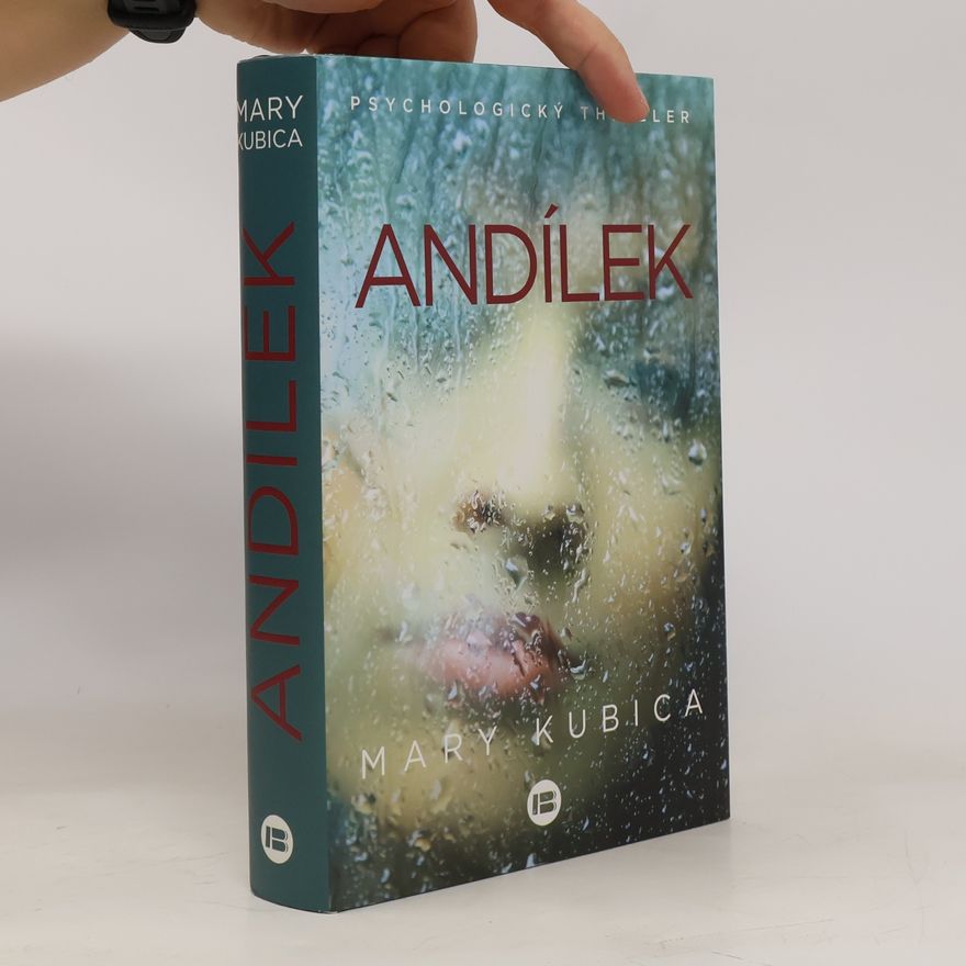Mary Kubica Andílek