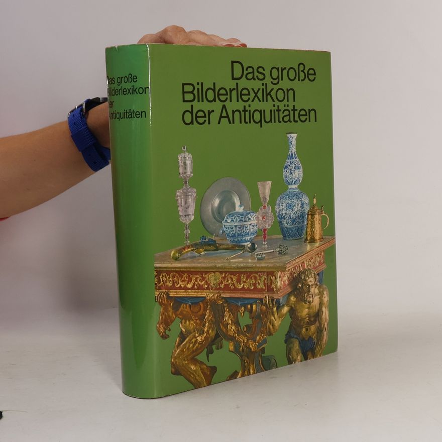 Autorenkollektiv Das große Bilderlexikon der Antiquitäten