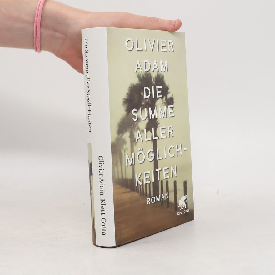 Olivier Adam Die Summe aller Möglichkeiten