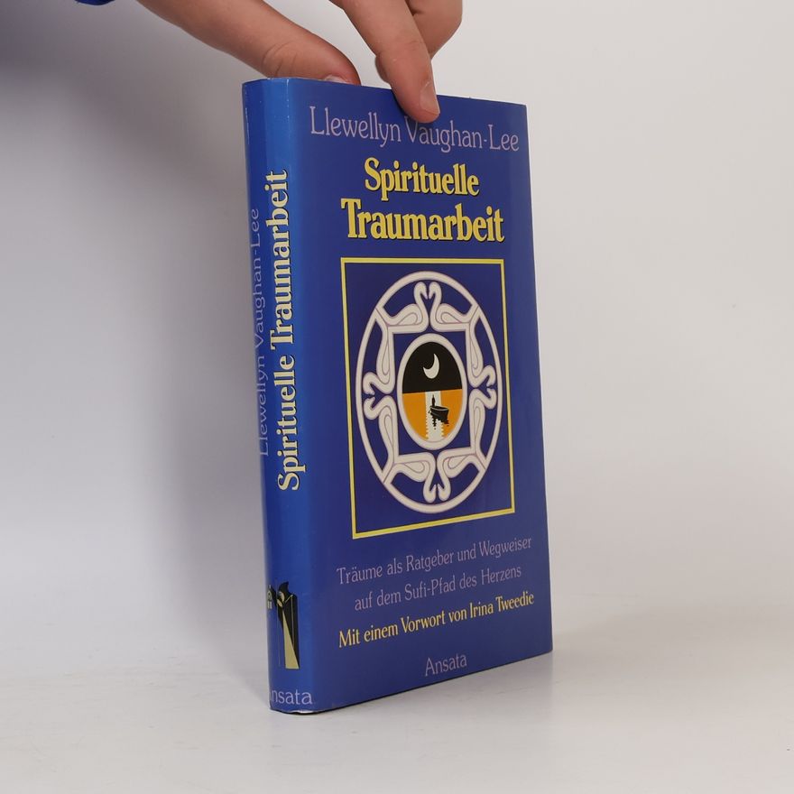 Llewellyn Vaughan-Lee Spirituelle Traumarbeit