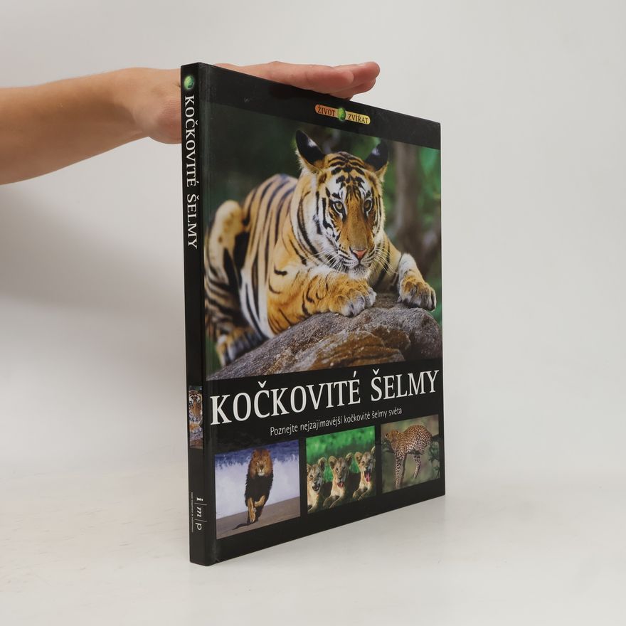 Vladimír Motyčka Kočkovité šelmy