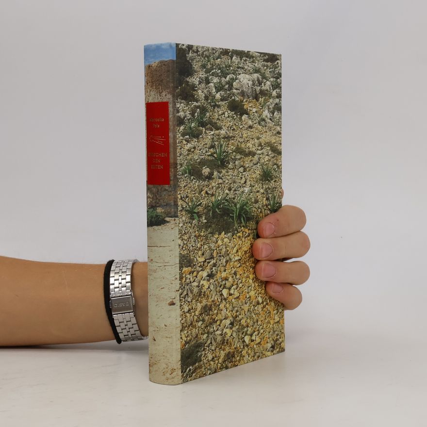 Marcello Fois Die Andere Bibliothek - 353: Zwischen den Zeiten