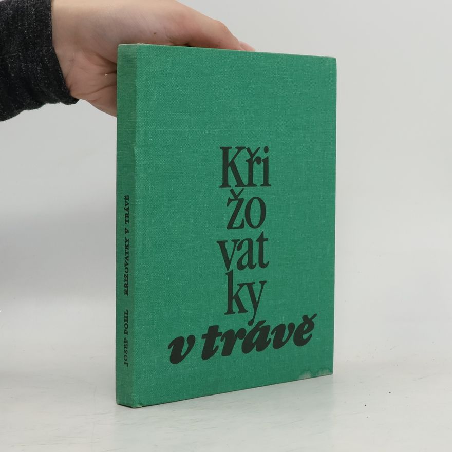 Josef Pohl Křižovatky v trávě