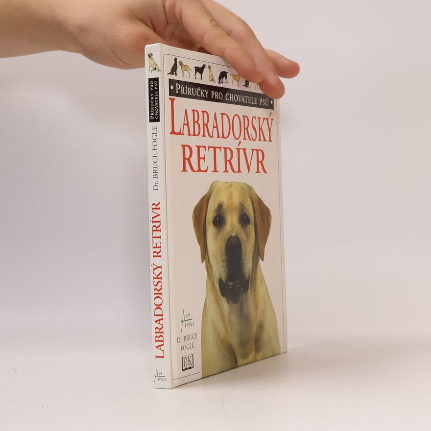 Bruce Folge Labradorský retrívr