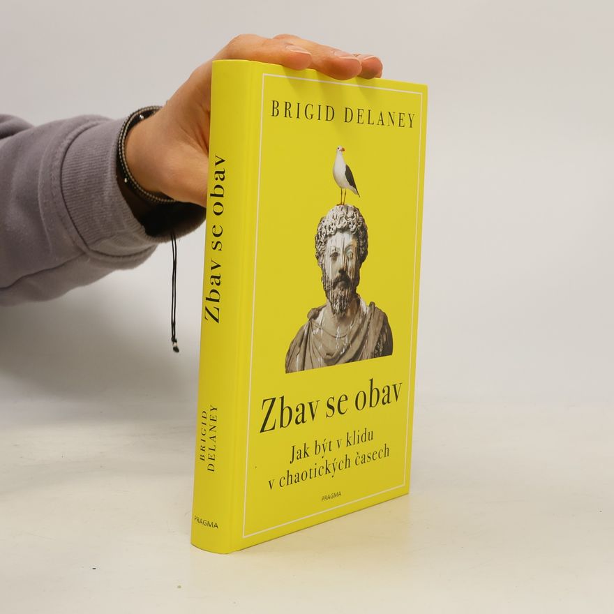 Brigid Delaney Zbav se obav. Jak být v klidu v chaotických časech