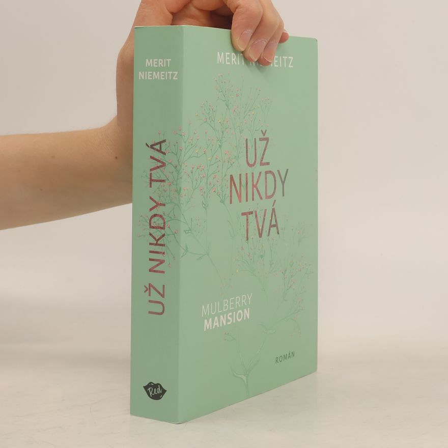 Merit Niemeitz Už nikdy tvá