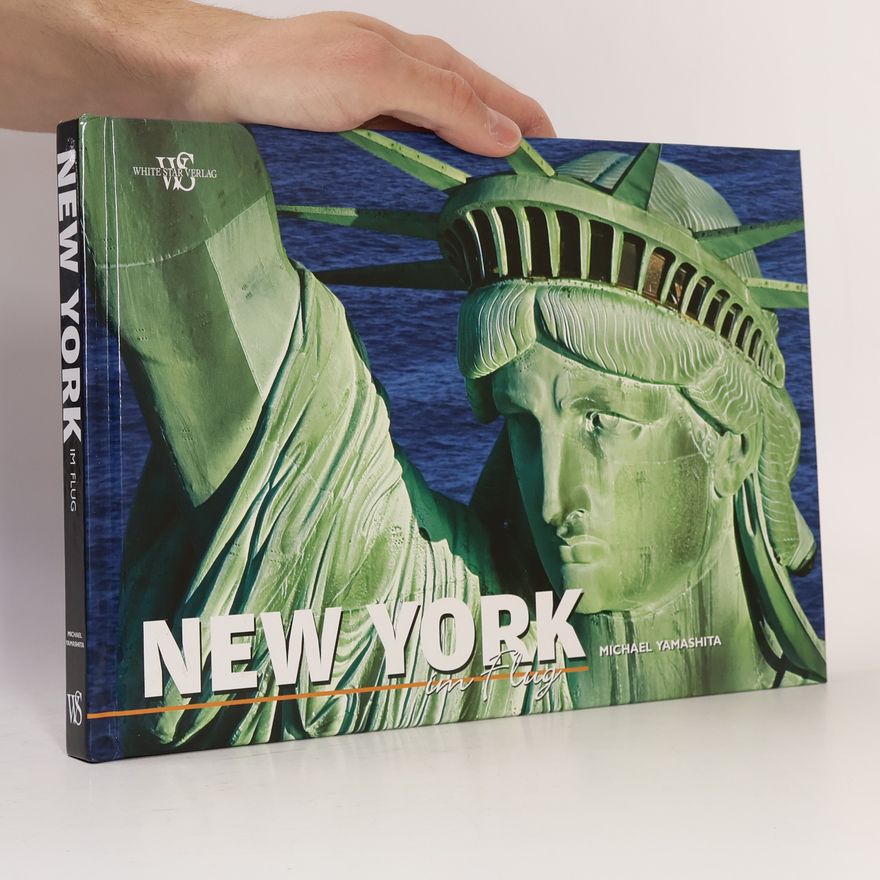 Michael Yamashita New York im Flug