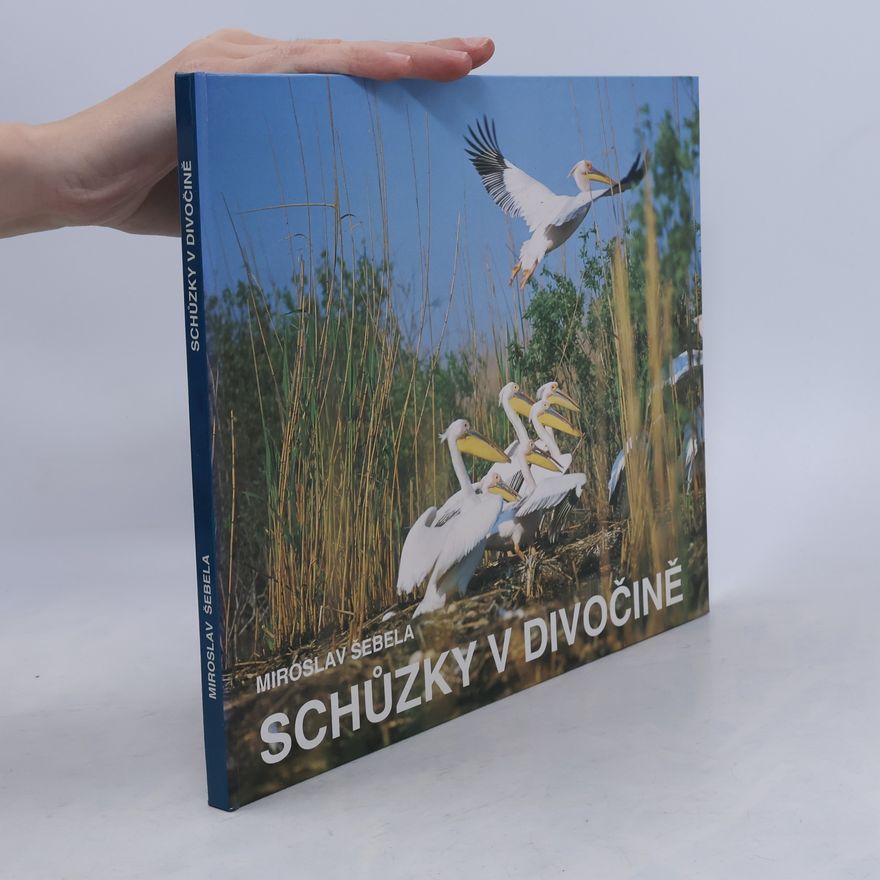 Miroslav Šebela Schůzky v divočině