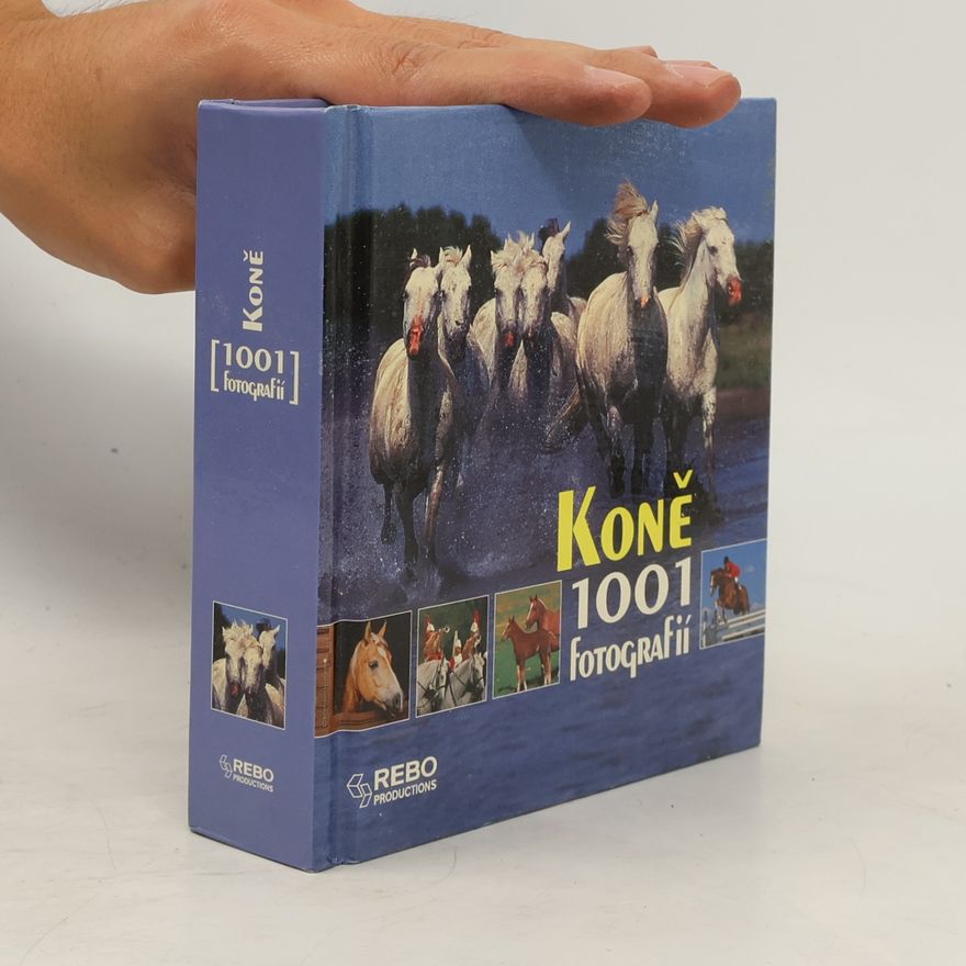 Autorenkollektiv Koně. 1001 fotografií