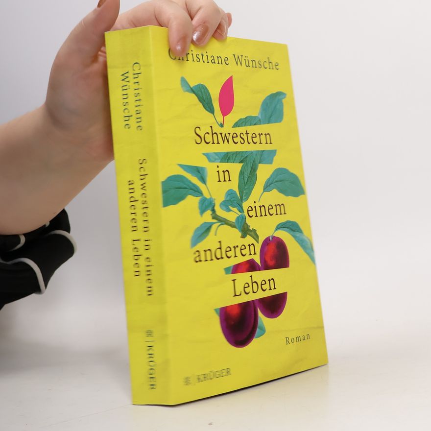 Christiane Wünsche Schwestern in einem anderen Leben