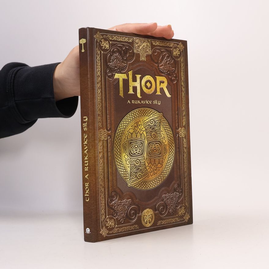 Alicja Paleta Thor a rukavice síly