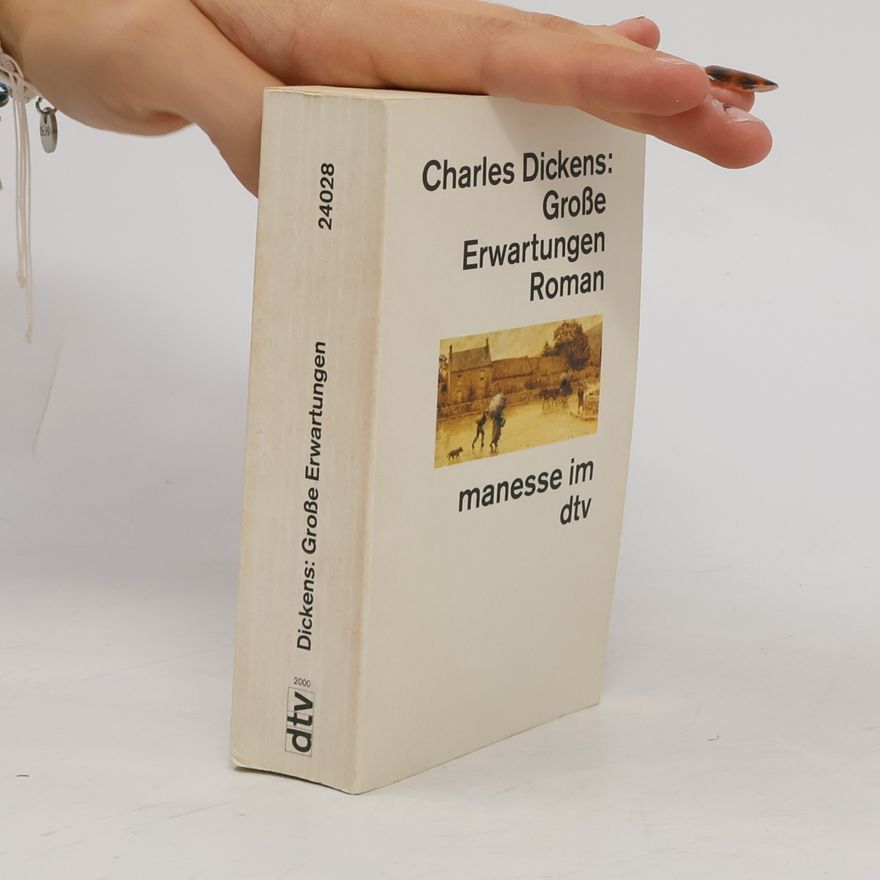 Charles Dickens Grosse Erwartungen