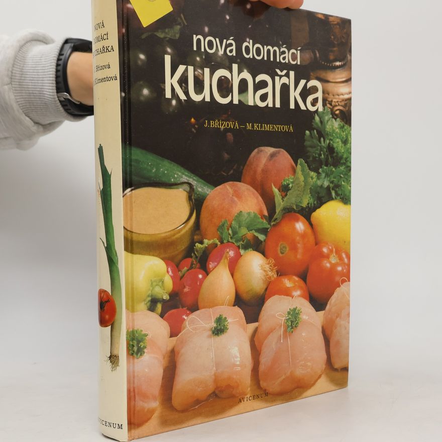 Joza Břízová Nová domácí kuchařka