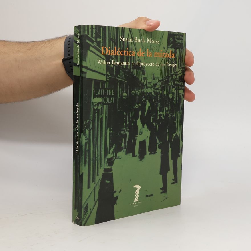 Susan Buck-Morss La balsa de la Medusa - 79: Dialéctica de la mirada