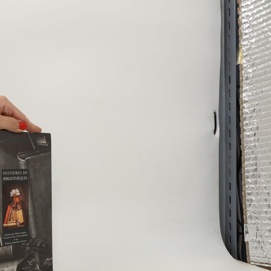 Erick Koehler Histoires de bibliotheques